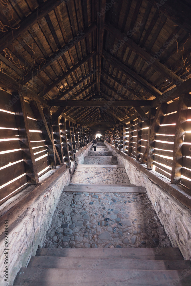 Fototapeta premium A long, illuminated passageway lined with wooden beams stretches toward a distant, glowing light, inviting exploration. The stone steps guide the way down