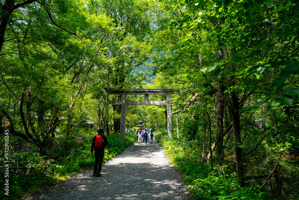 Fototapeta premium 上高地 明神池の風景