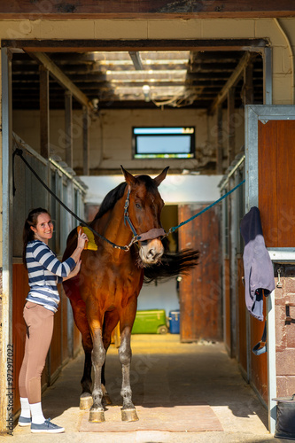 horse and rider at work