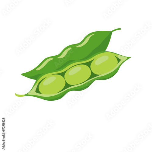 Half-Open Edamame Pod with Visible Peas Vector Illustration