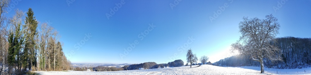 Panoramic view of snow landscape Panoramic view of snow landscape
