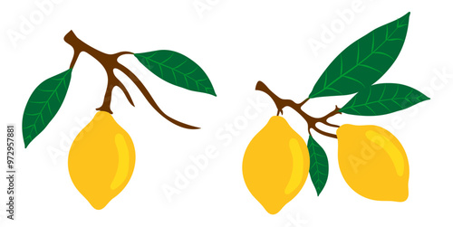 fresh lemon fruits