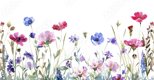 Fototapeta Naklejka Na Ścianę i Meble -  PNG  Colorful watercolor wildflower border