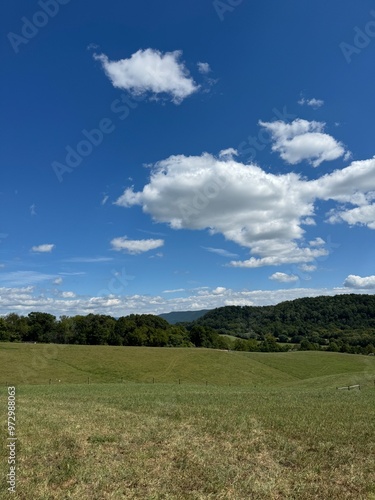Sunflower field with bright blue sky and mountains in the background.