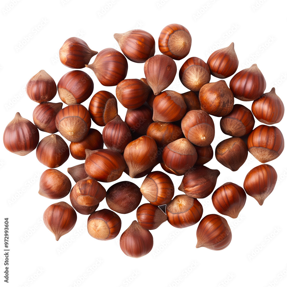 Pile of Whole Hazelnuts Isolated on White Background. Pile of Whole Hazelnuts Isolated on White Background.