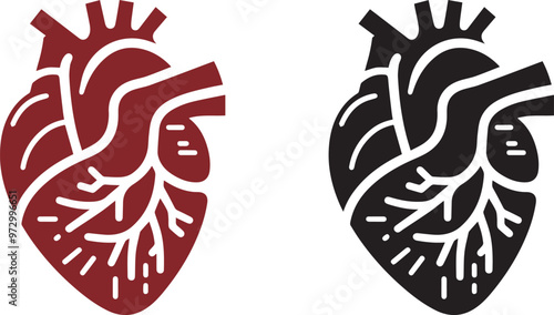 Human heart icon vector.