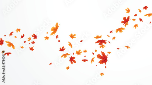 Autumn falling leaves, isolated on white