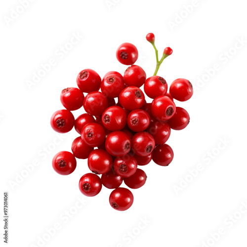 Cluster of Bright Red Berries with Green Leaves on White Background