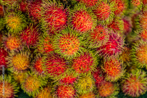 view of a bunch of red, yellow and green rambutan fruits with the spiky skin. photo