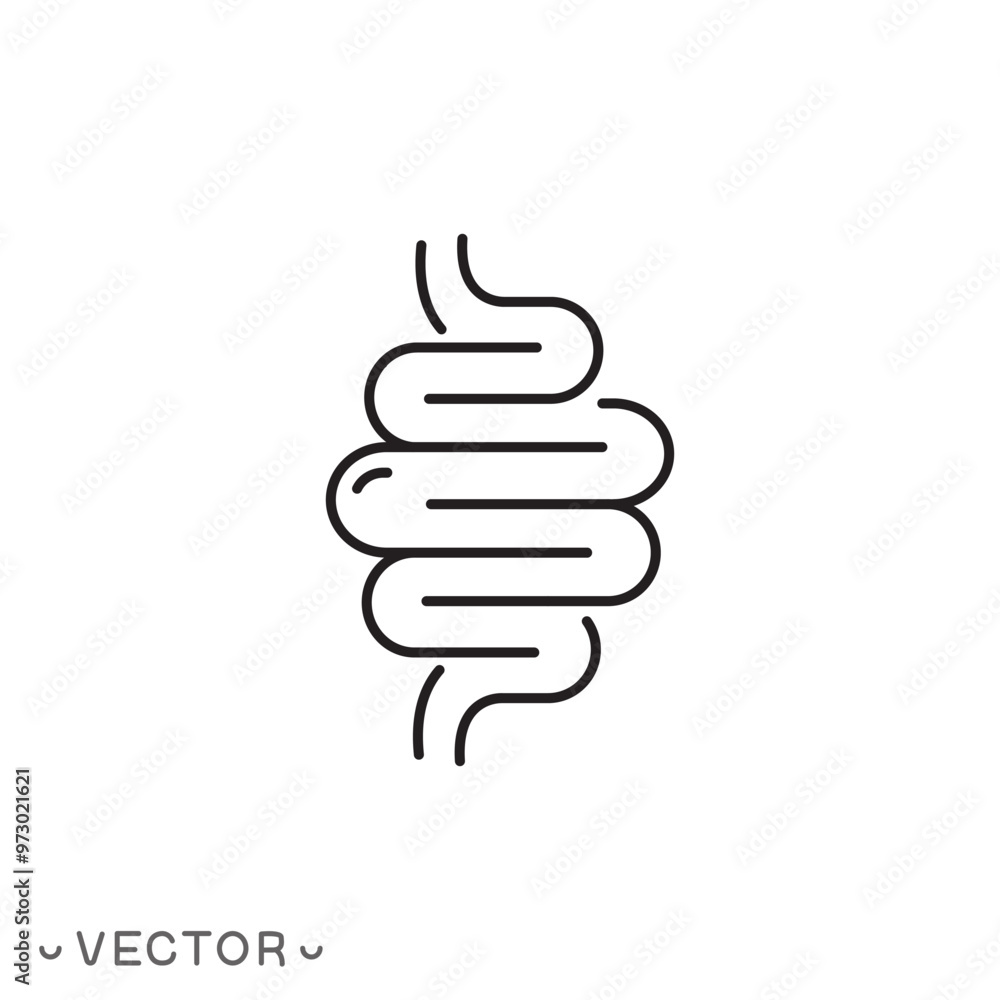 intestine icon, digestive tract, gut thin line symbol isolated on white background, editable stroke eps 10 vector illustration intestine icon, digestive tract, gut thin line symbol isolated on white background, editable stroke eps 10 vector illustration