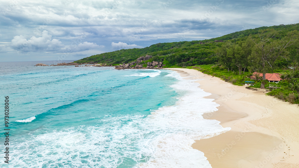 Fototapeta premium beach with trees