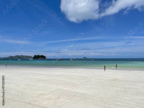 beach with trees photo