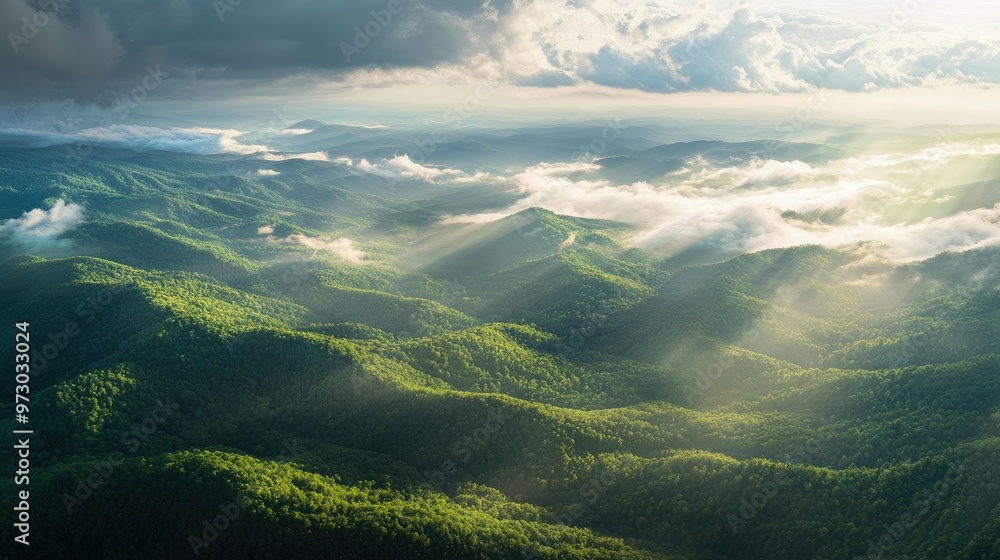 A panoramic aerial view of untouched green forests blending into mountain ranges, with patches of sunlight breaking through the clouds. A panoramic aerial view of untouched green forests blending into mountain ranges, with patches of sunlight breaking through the clouds.