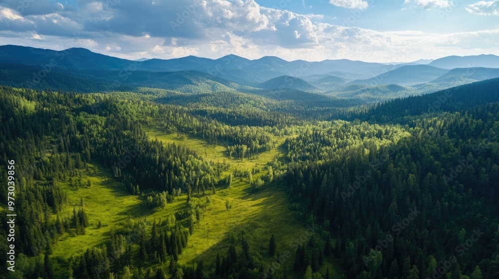 A vibrant aerial view of a green forest with rolling hills and towering mountains beyond, showcasing the natural beauty of the landscape. A vibrant aerial view of a green forest with rolling hills and towering mountains beyond, showcasing the natural beauty of the landscape.