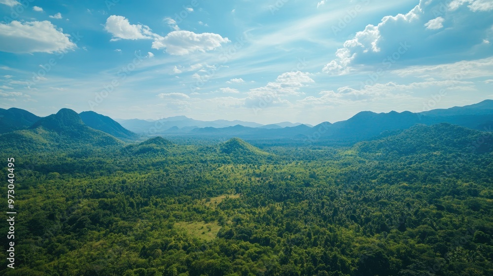 Obraz premium A wide aerial shot of a green forest nestled between tall mountain ranges, with a clear blue sky and scattered clouds above.