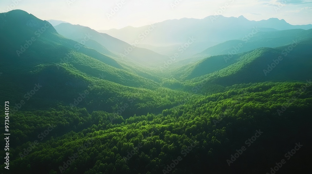 Aerial shot of a vast green forest at the foot of majestic mountains, with sunlight highlighting the peaks and valleys. Aerial shot of a vast green forest at the foot of majestic mountains, with sunlight highlighting the peaks and valleys.