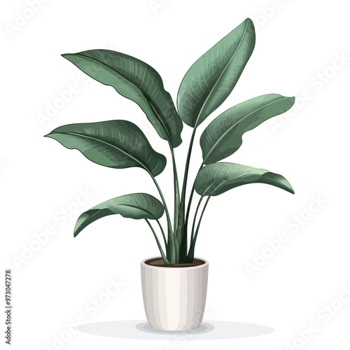 Realistic Detailed 3d Green Plant in Pot Isolated on White Background. Vector Illustration.