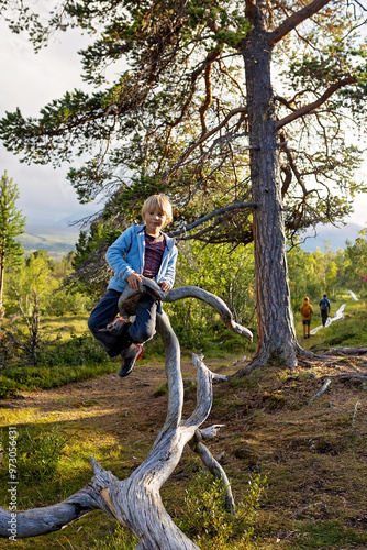 Family with kids and dog, hiking the Abisko National Park near Kiruna on a summer day photo