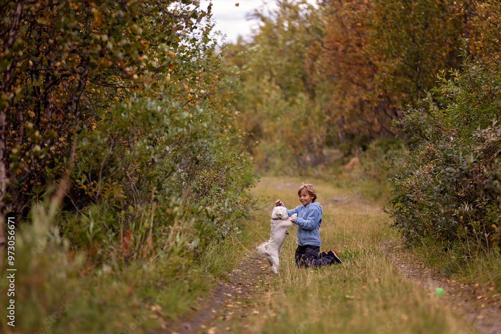 Fototapeta premium Cute little blond child, boy, training his little pet dog to obey orders, playing with him outdoors