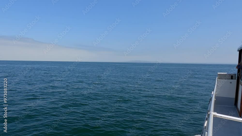 Point of view from a charter boat with a dolphin jumping out of the water off the coast of San Diego, California. Point of view from a charter boat with a dolphin jumping out of the water off the coast of San Diego, California.
