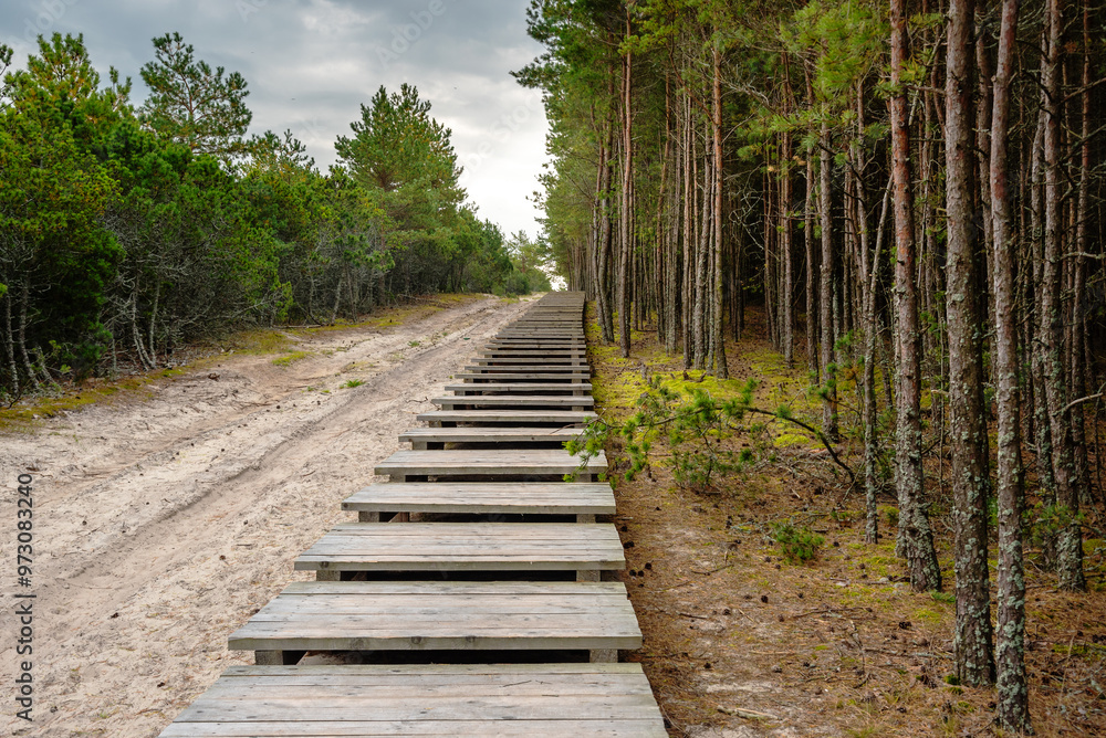 Obraz premium Trail to observation deck on Olenya Buda dunes with views of Swan Lake. Curonian Spit National Park. Russia