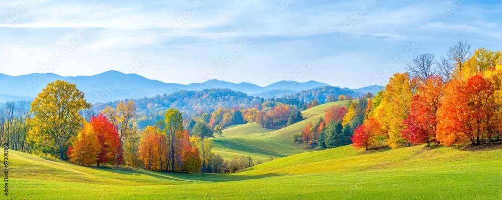 Thanksgiving foliage creating a vibrant autumn scene Thanksgiving foliage creating a vibrant autumn scene