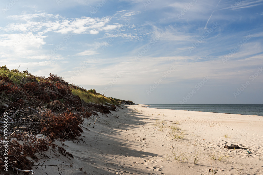 Long white sand beach in the Curonian Spit National Park. Kaliningrad region. Russia