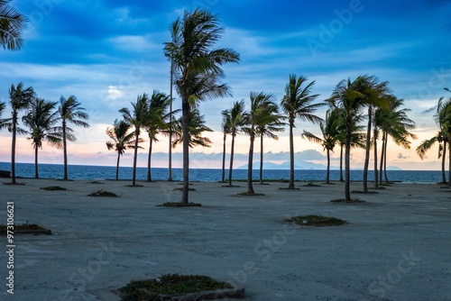 Palm trees on the beach with beautiful clouds