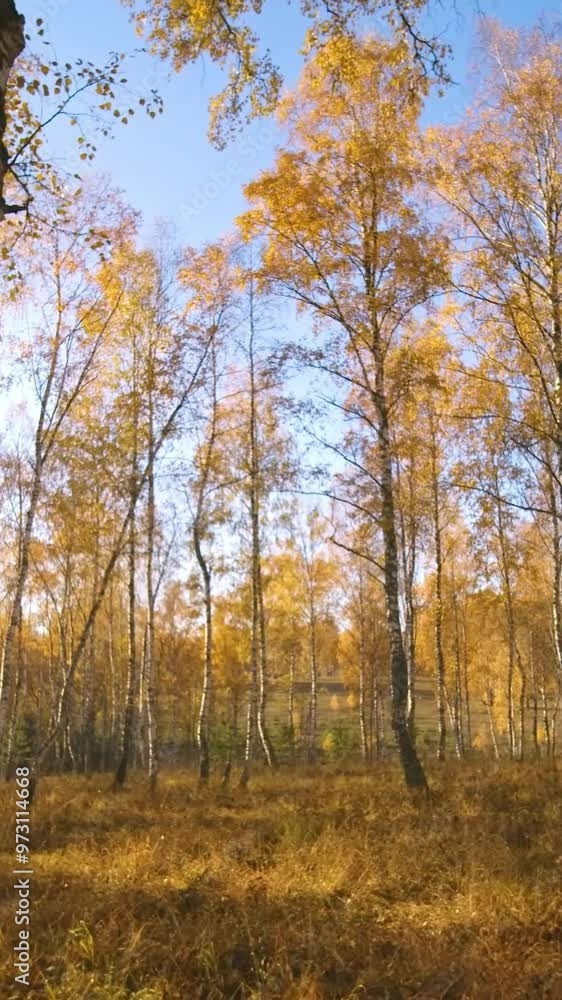 Aerial view of mountain during autumn