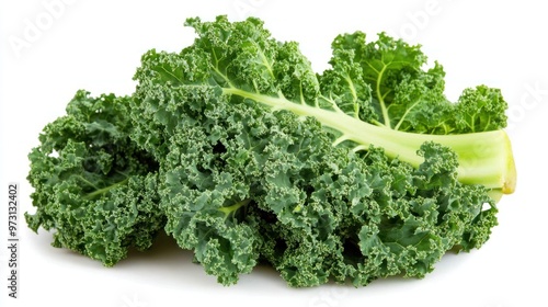 A bunch of fresh kale leaves, showcasing their vibrant green color and textured surface.