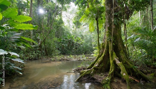 Lush Tropical Rainforests of the Amazon, Teeming with Biodiversity