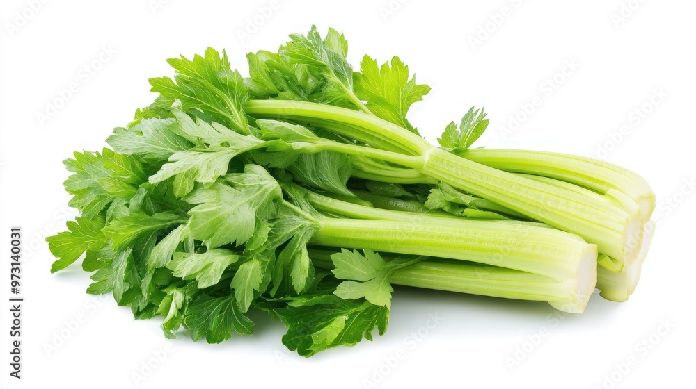 Fresh celery stalks with vibrant green leaves, commonly used in cooking and salads. Fresh celery stalks with vibrant green leaves, commonly used in cooking and salads.
