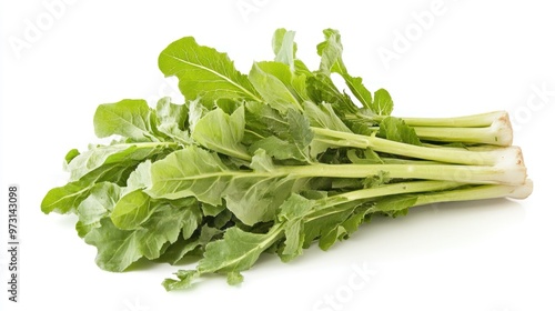 A bunch of fresh leafy greens, likely used in salads or cooking.