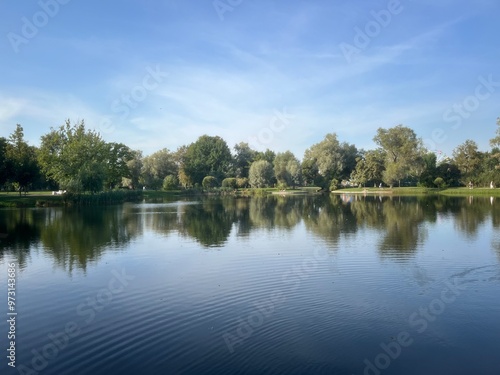 Trees reflection on the lake surface, blue lake in the park, summertime