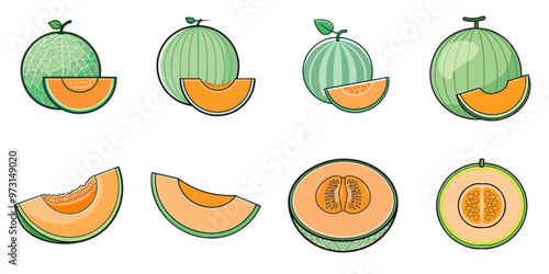 melon, multiple illustrations, outlines