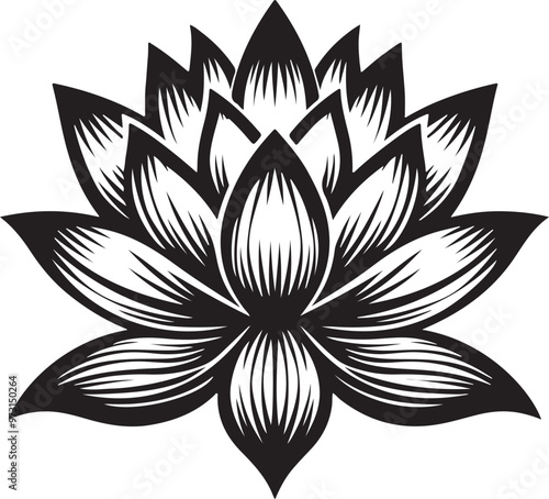 lotus flower silhouette design vector art illustration