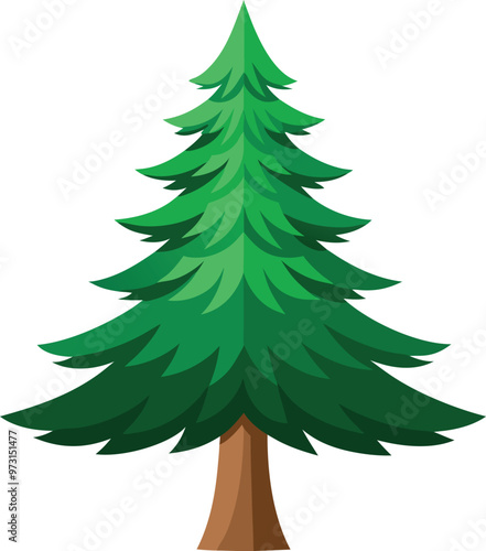 Christmas pine  tree isolated on white background