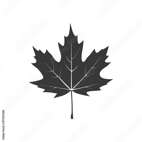 A Single Black Silhouette of a Maple Leaf