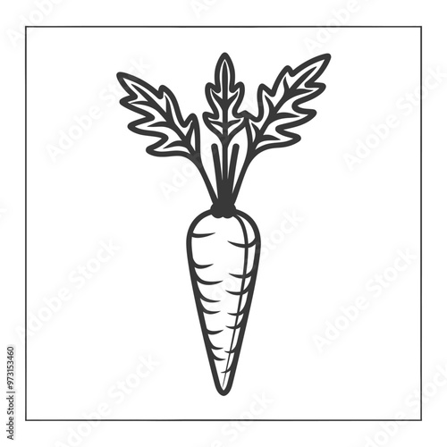 A Single Carrot with Green Leaves
