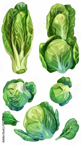 A set of green vegetables including a head of lettuce