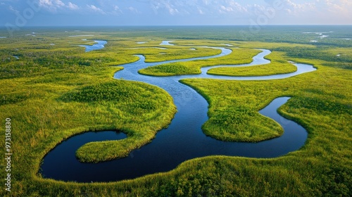 Winding waterways meandering through lush green marshlands under a bright sky during midday in a serene natural landscape