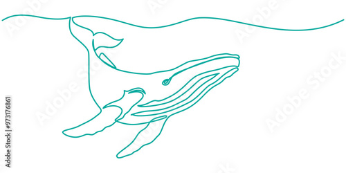 Breaching Humpback whale drawing in one continuous line, Continuous one line drawing of whale jumping. Simple illustration of humpback whale line art vector illustration, One continuous line drawing