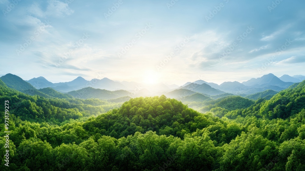 A panoramic view of a lush green forest, with a sense of peace and tranquility emanating from the surrounding nature. A panoramic view of a lush green forest, with a sense of peace and tranquility emanating from the surrounding nature.