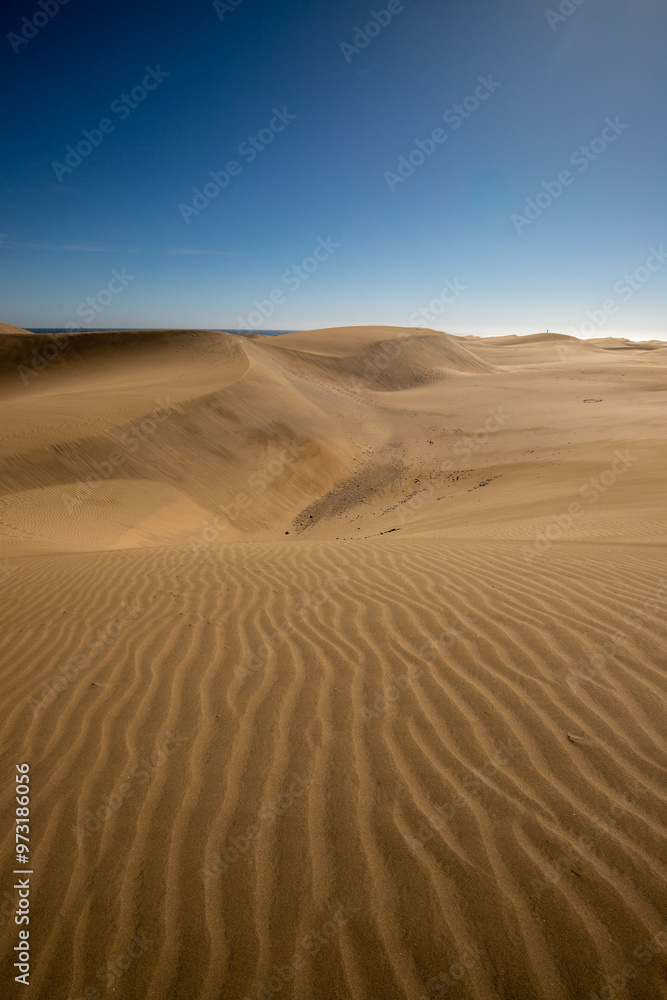 Maspalomas dunes on Gran Canaria, Canary Islands, Spain Maspalomas dunes on Gran Canaria, Canary Islands, Spain