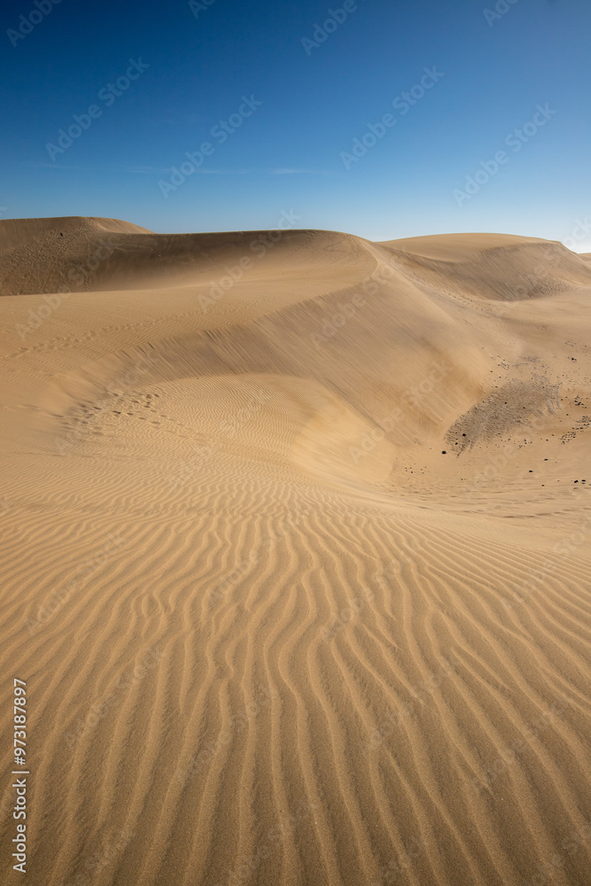 Maspalomas dunes on Gran Canaria, Canary Islands, Spain Maspalomas dunes on Gran Canaria, Canary Islands, Spain