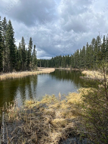 Pause along this stream within the beautiful boreal forest