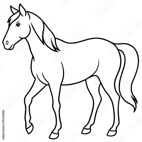 horse line art vector illustration