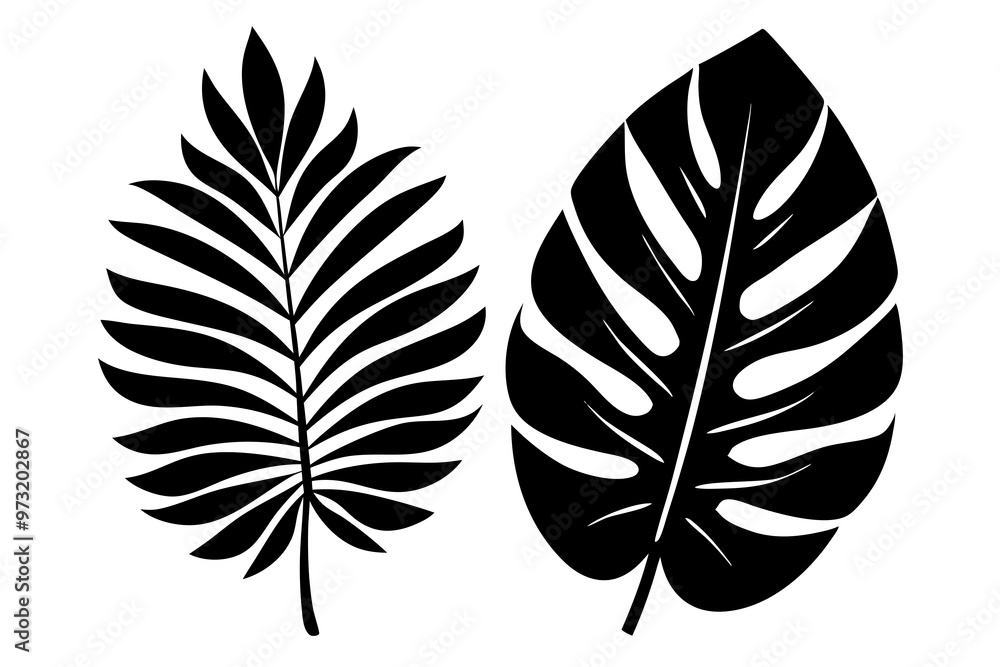 Obraz premium tropical two separated leaf silhouette vector illustration 