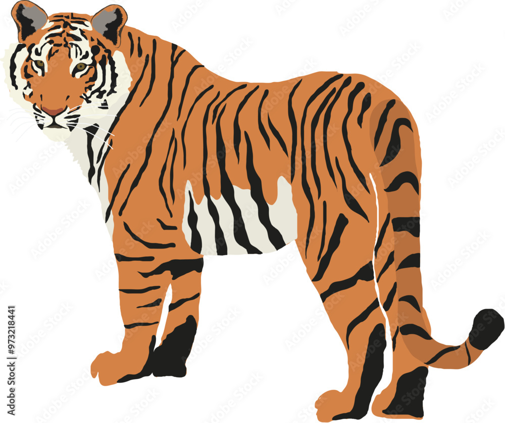 Isolated Bengal tiger character vector illustration Isolated Bengal tiger character vector illustration