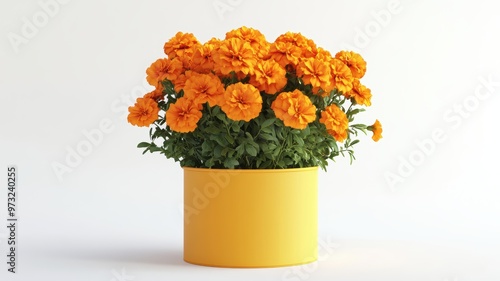 A summer bouquet of marigol...